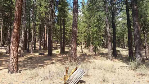11410 Bottcher Loop, Truckee, CA 96161 photo 1