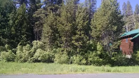 16165 Pine St, Truckee, CA 96161 photo 2