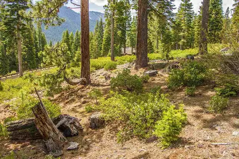 8306 Valhalla Dr, Truckee, CA 96161 photo 6