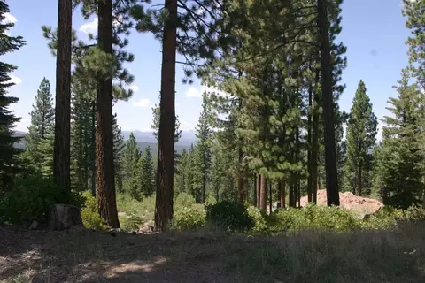 2374 Overlook Pl, Truckee, CA 96161 photo 2