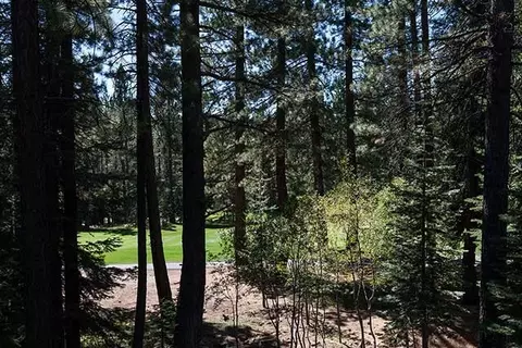 13618 Skiview Loop, Truckee, CA 96161 photo 7