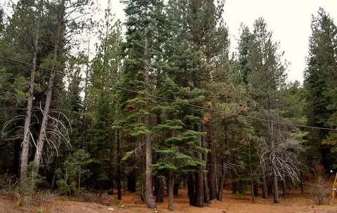 13447 Pathway Ave, Truckee, CA 96161 photo 3