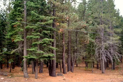 13447 Pathway Ave, Truckee, CA 96161 photo 6