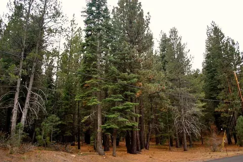 13447 Pathway Ave, Truckee, CA 96161 photo 7