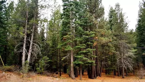 13447 Pathway Ave, Truckee, CA 96161 photo 1