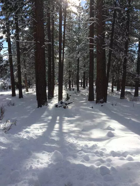 11501 Bottcher Loop, Truckee, CA 96161 photo 4