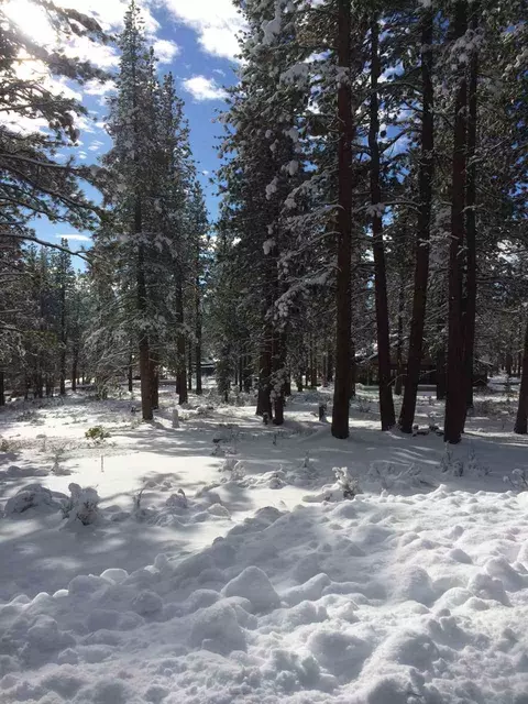 11501 Bottcher Loop, Truckee, CA 96161 photo 1