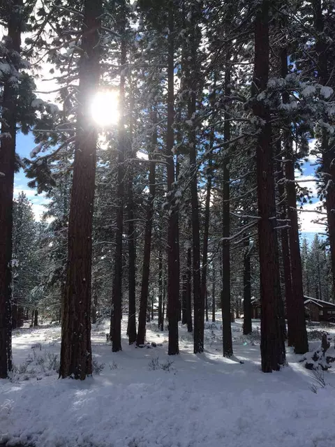 11501 Bottcher Loop, Truckee, CA 96161 photo 3