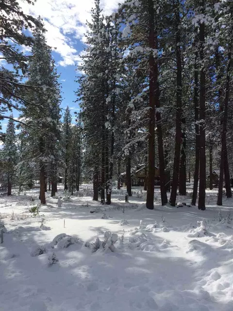 11501 Bottcher Loop, Truckee, CA 96161 photo 8