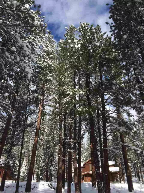 11501 Bottcher Loop, Truckee, CA 96161 photo 6