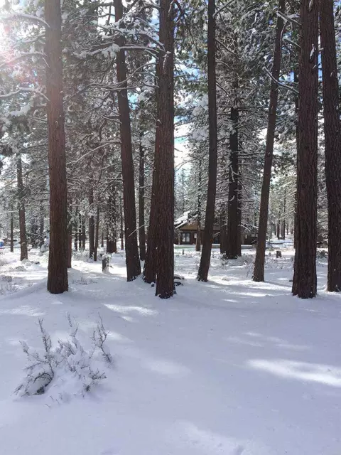 11501 Bottcher Loop, Truckee, CA 96161 photo 2
