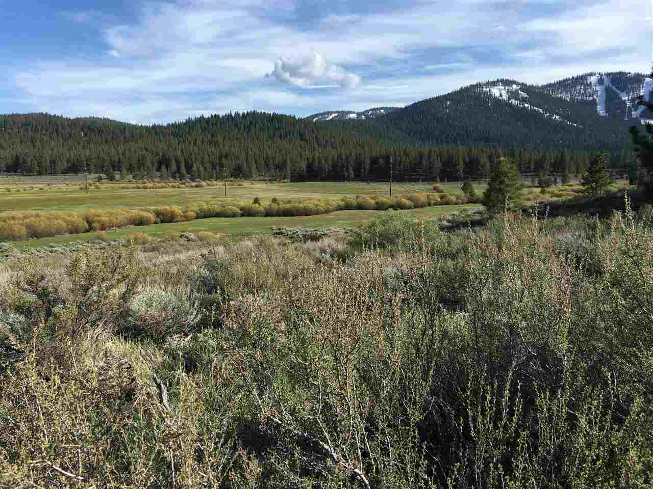 10262 Fall Ct, Truckee, CA 96161 photo 13