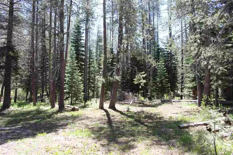 11579 Sun Valley Rd, Truckee, CA 96161 photo 13