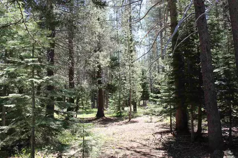 11579 Sun Valley Rd, Truckee, CA 96161 photo 14