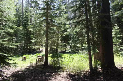 11579 Sun Valley Rd, Truckee, CA 96161 photo 2