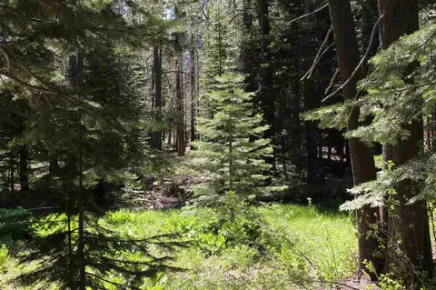11579 Sun Valley Rd, Truckee, CA 96161 photo 12