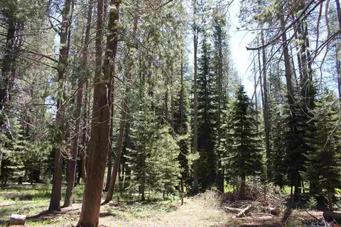 11579 Sun Valley Rd, Truckee, CA 96161 photo 9
