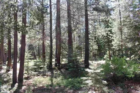 11579 Sun Valley Rd, Truckee, CA 96161 photo 5