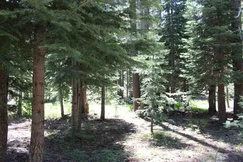 11579 Sun Valley Rd, Truckee, CA 96161 photo 4