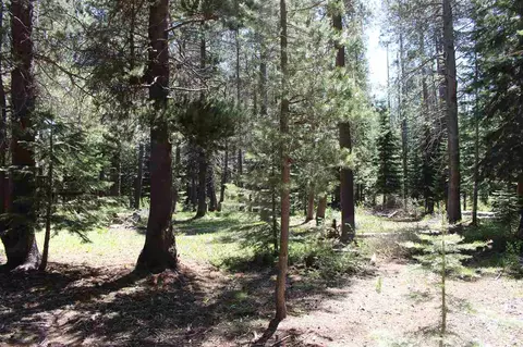 11579 Sun Valley Rd, Truckee, CA 96161 photo 6