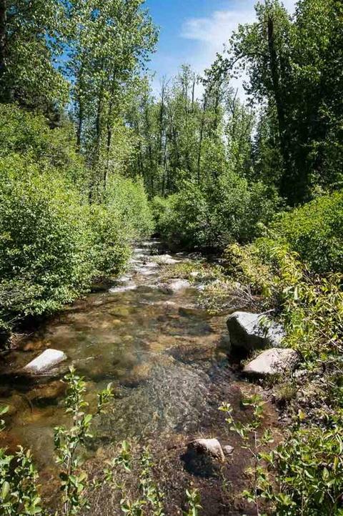1700 Trapper Pl, Alpine Meadows, CA 96146 photo 5