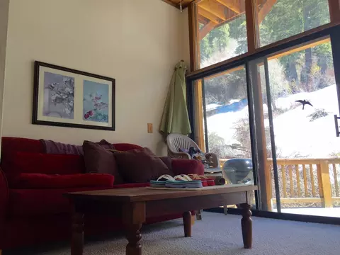 1045 Snow Crest Rd, Alpine Meadows, CA 96145 photo 10