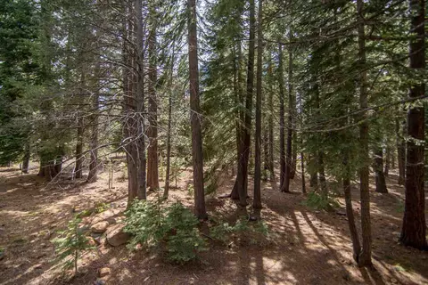 13897 Skiview Loop, Truckee, CA 96161 photo 5