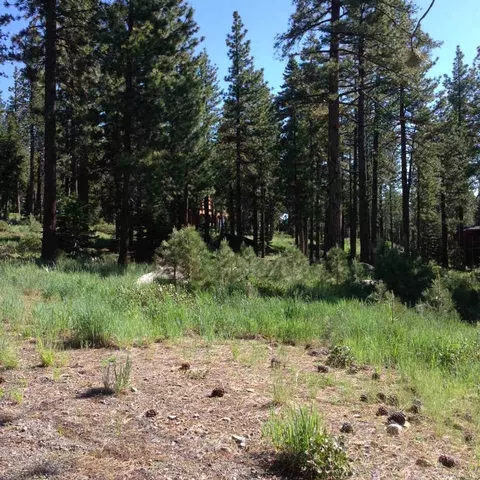 11943 Cavern Way, Truckee, CA 96161 photo 3