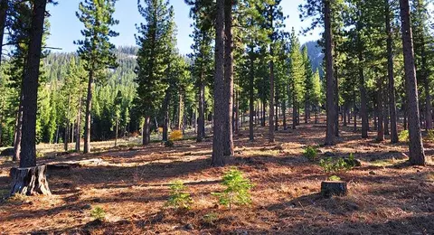 8184 Fallen Leaf Way, Truckee, CA 96161 photo 3