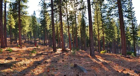 8184 Fallen Leaf Way, Truckee, CA 96161 photo 1