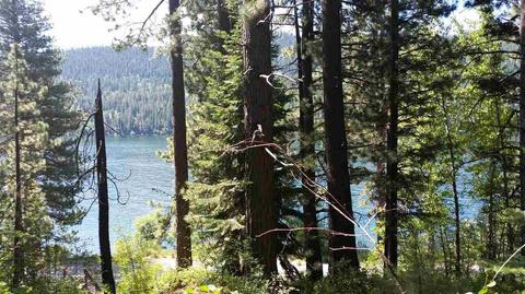 14864 Donner Pass Rd, Truckee, CA 96161 photo 2