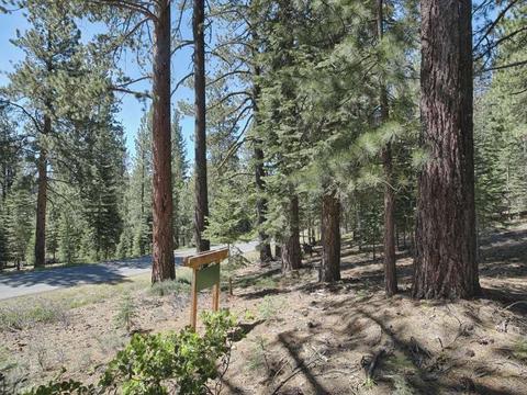 12008 Saddleback Dr, Truckee, CA 96161 photo 4