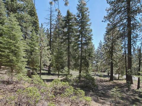 12008 Saddleback Dr, Truckee, CA 96161 photo 1