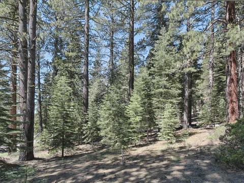 12008 Saddleback Dr, Truckee, CA 96161 photo 6