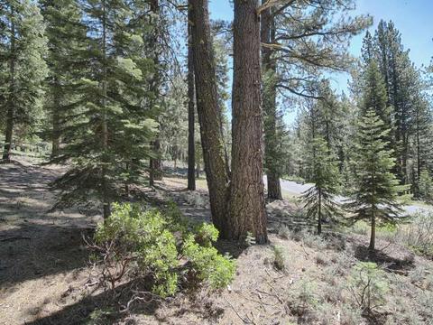 12008 Saddleback Dr, Truckee, CA 96161 photo 5
