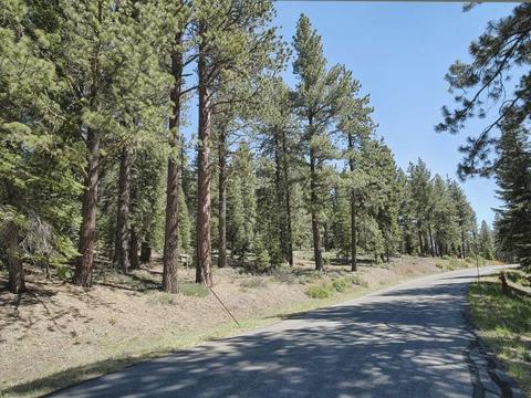 12008 Saddleback Dr, Truckee, CA 96161 photo 8