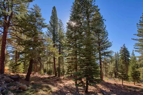 11954 Saddleback Dr, Truckee, CA 96161 photo 11