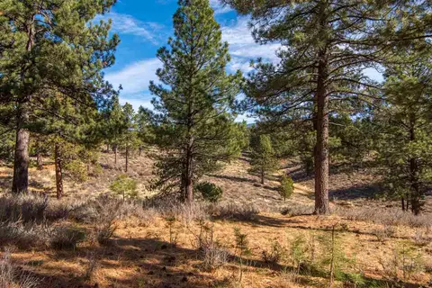 16096 Woodbridge Ct, Truckee, CA 96161 photo 9