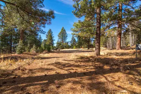 16096 Woodbridge Ct, Truckee, CA 96161 photo 11