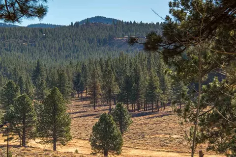 16096 Woodbridge Ct, Truckee, CA 96161 photo 5