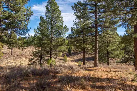 16096 Woodbridge Ct, Truckee, CA 96161 photo 8