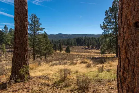 16096 Woodbridge Ct, Truckee, CA 96161 photo 6