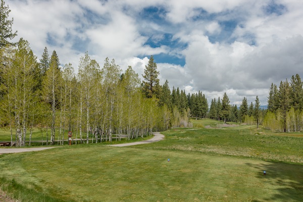 127 Basque, Truckee, CA 96161 photo 14