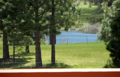 1425 Smith Lake Rd, Graeagle, CA 96103 photo 13