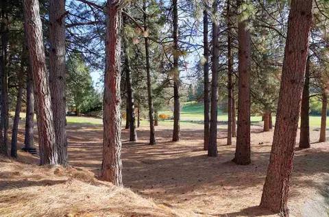 11244 Lower Cir, Grass Valley, CA 95949 photo 12