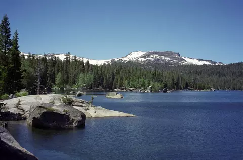 2819 Highway 88, Markleeville, CA 96120 photo 13