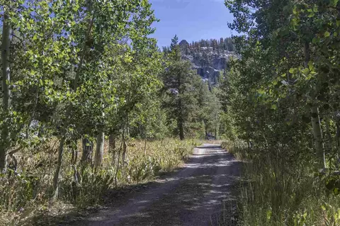 2819 Highway 88, Markleeville, CA 96120 photo 1