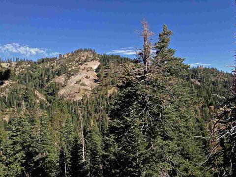 1510 Upper Bench Rd, Alpine Meadows, CA 96146 photo 3