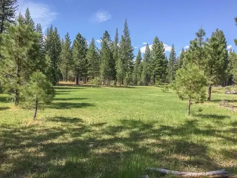 130 Calpine Rd, Calpine, CA 96124 photo 11