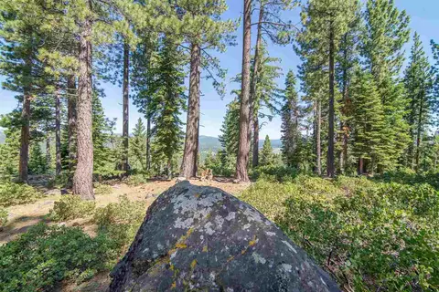 1942 Gray Wolf, Truckee, CA 96161 photo 5
